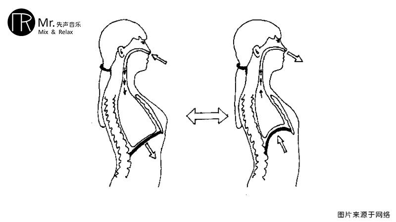 歌唱呼吸的机理