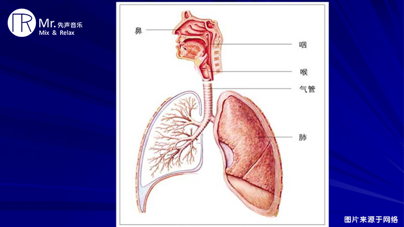 ，正确歌唱呼吸的养成课程十分必要和重要
