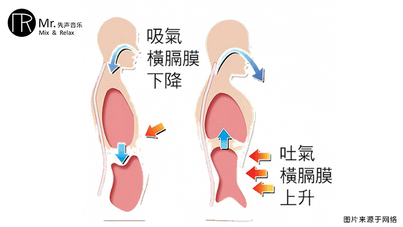 感知横膈膜下沉的感觉训练