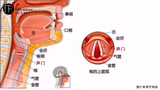 零基础专业学声乐